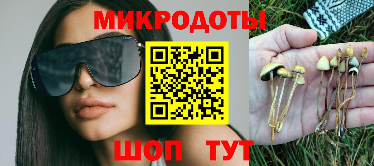 Сертолово  Псилоцибиновые грибы мицелий  Вход с VPN  Галлюциногенные грибы Cubensis 