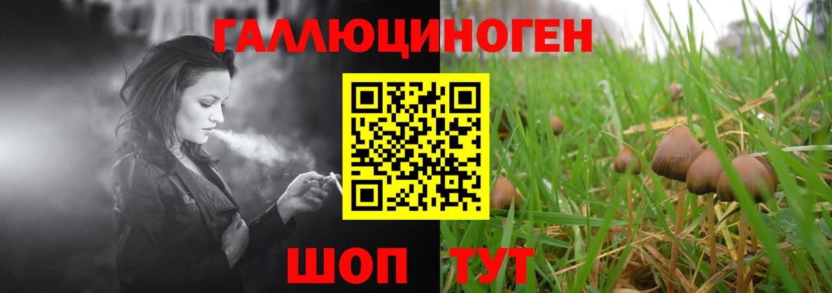 Галлюциногенные грибы Magic Shrooms Сертолово